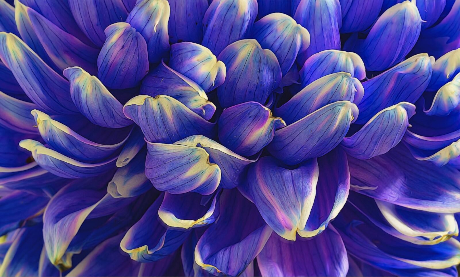 purple art work printing - flowers